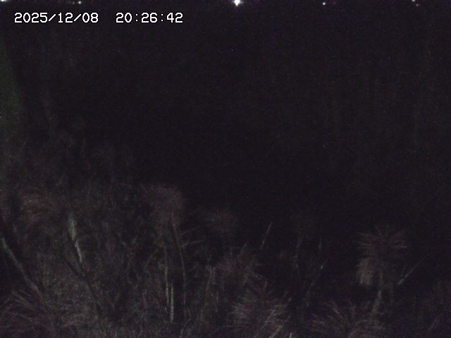 取得できませんでした