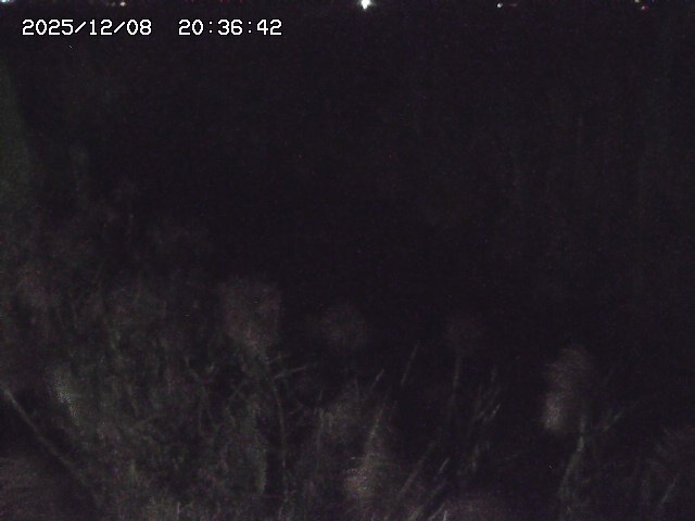 取得できませんでした