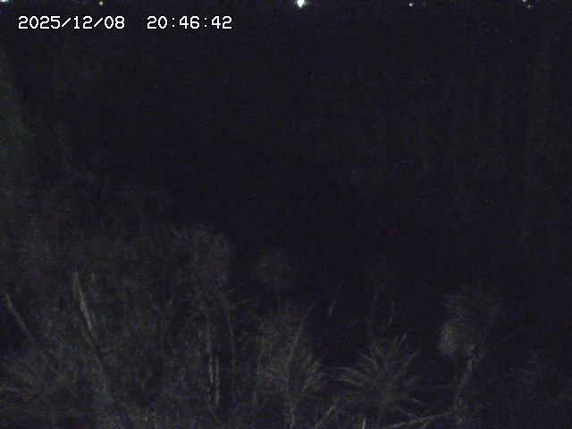 取得できませんでした