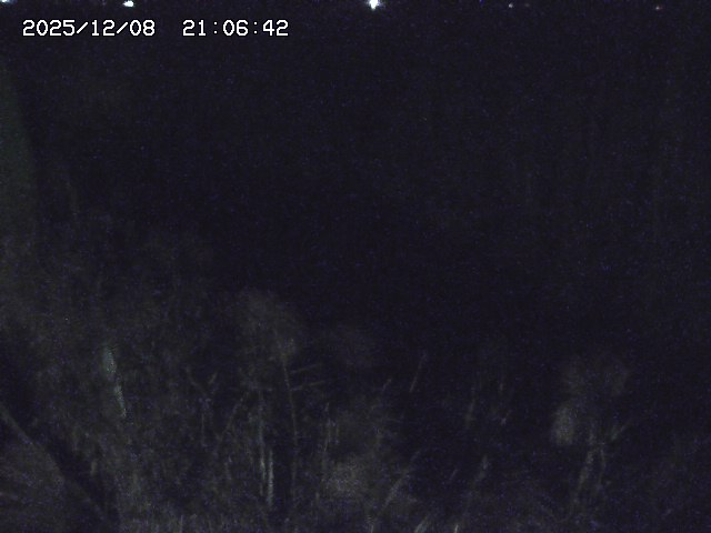 取得できませんでした