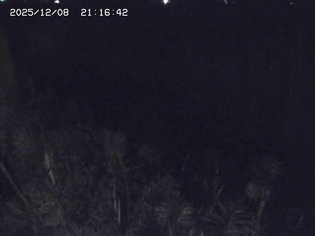 取得できませんでした