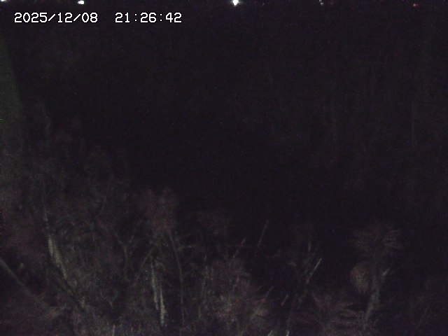 取得できませんでした