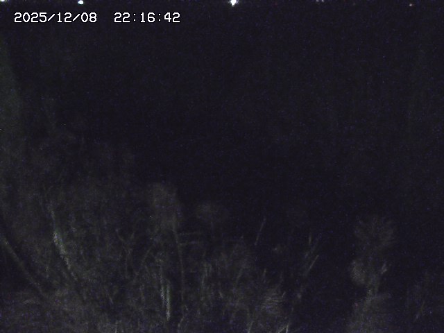 取得できませんでした