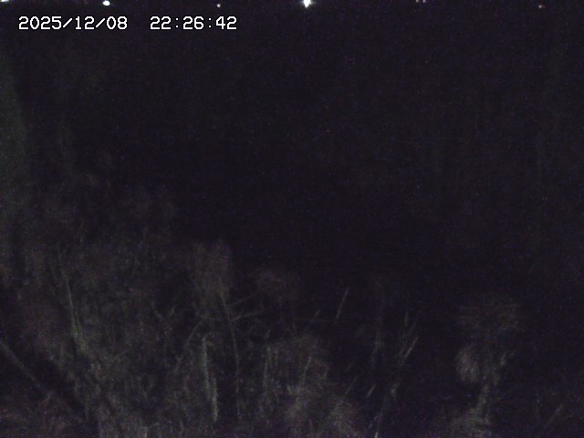 取得できませんでした