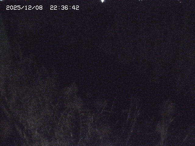 取得できませんでした