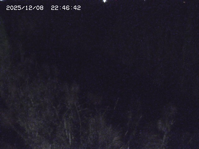 取得できませんでした