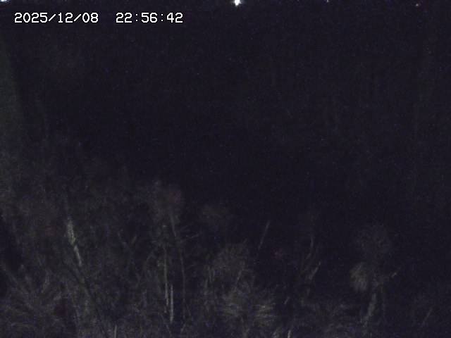 取得できませんでした