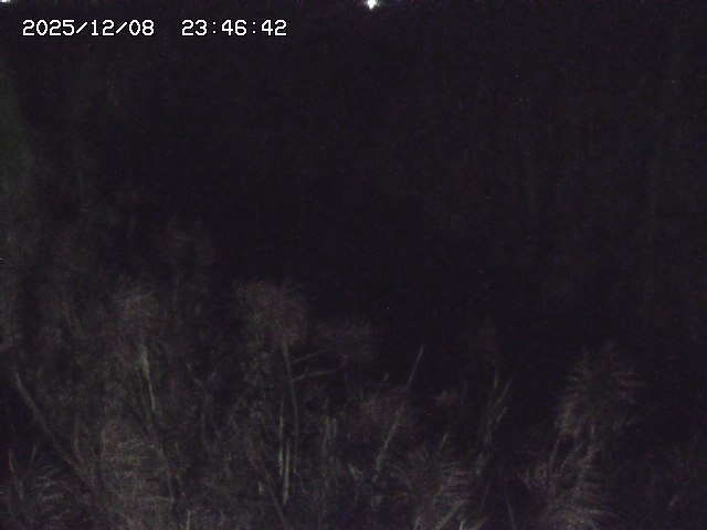 取得できませんでした