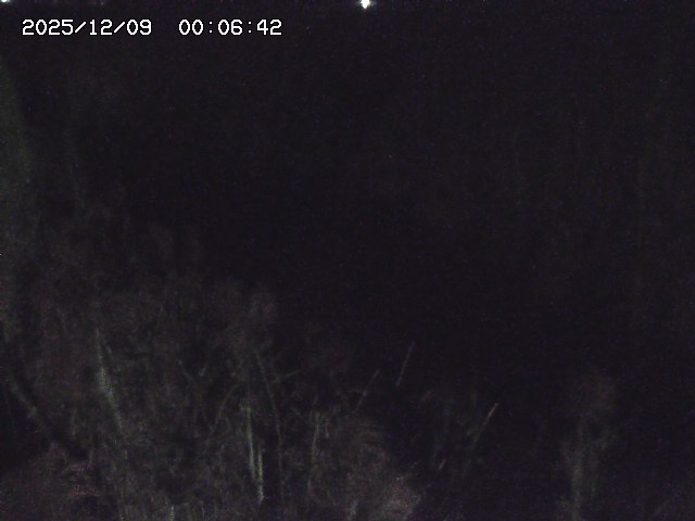 取得できませんでした