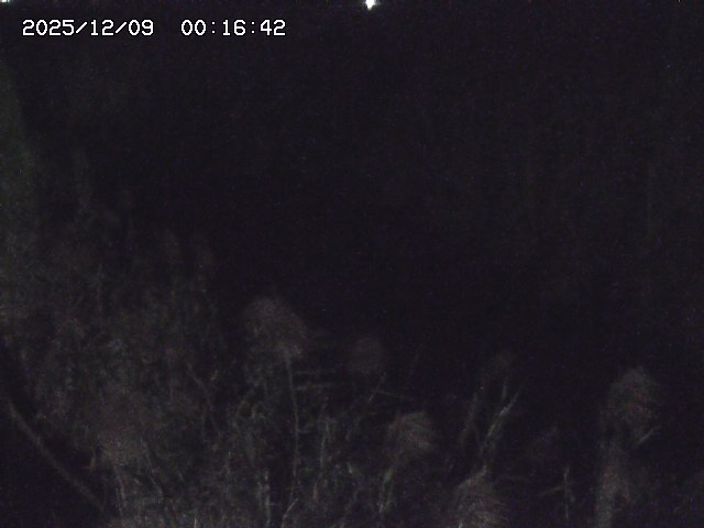 取得できませんでした