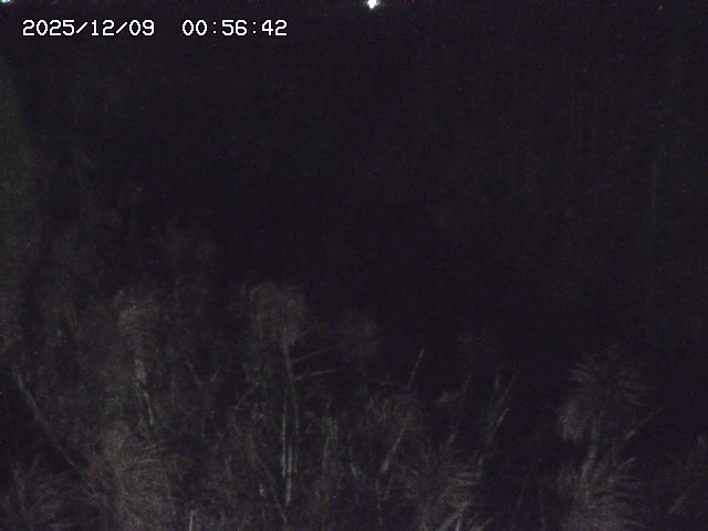 取得できませんでした