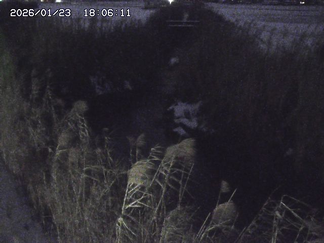 取得できませんでした