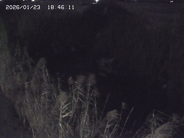 取得できませんでした