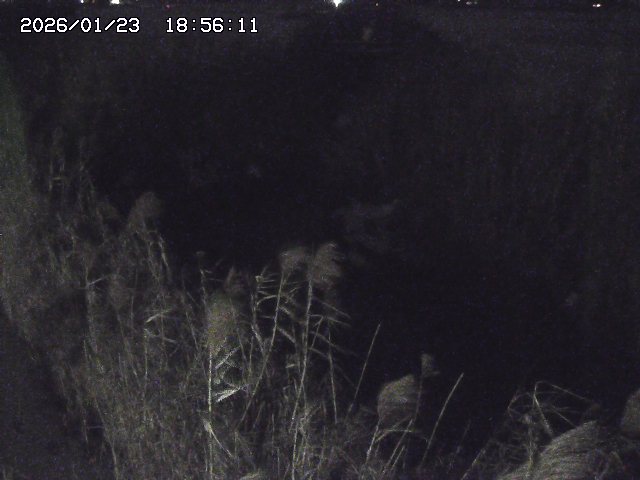 取得できませんでした