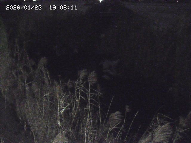 取得できませんでした