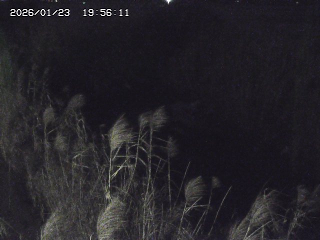 取得できませんでした