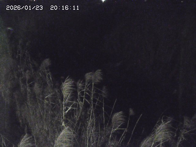 取得できませんでした