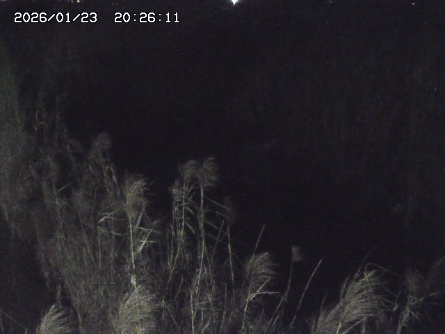 取得できませんでした