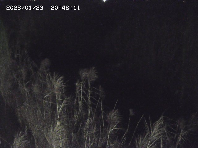 取得できませんでした