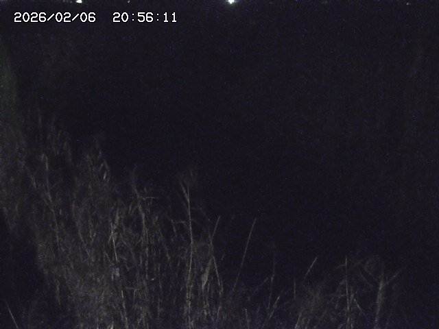 取得できませんでした