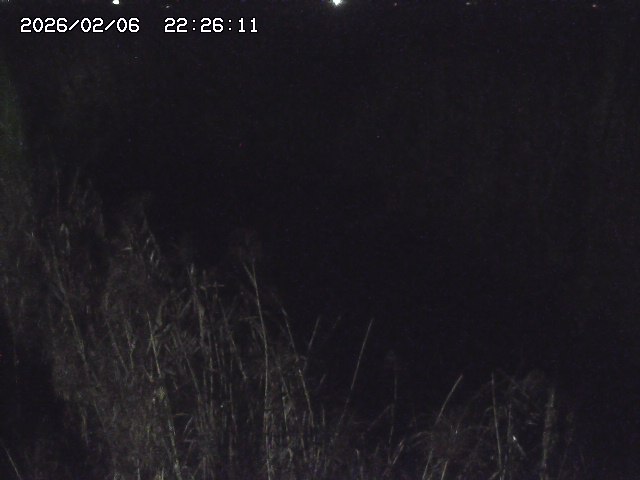 取得できませんでした