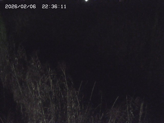 取得できませんでした