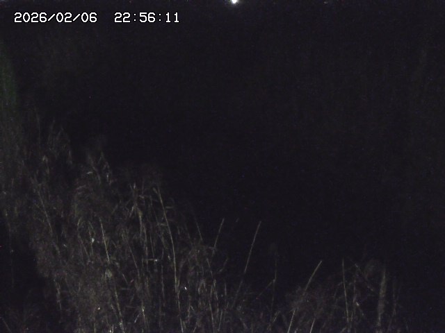 取得できませんでした