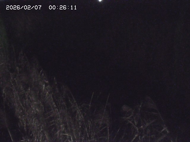 取得できませんでした