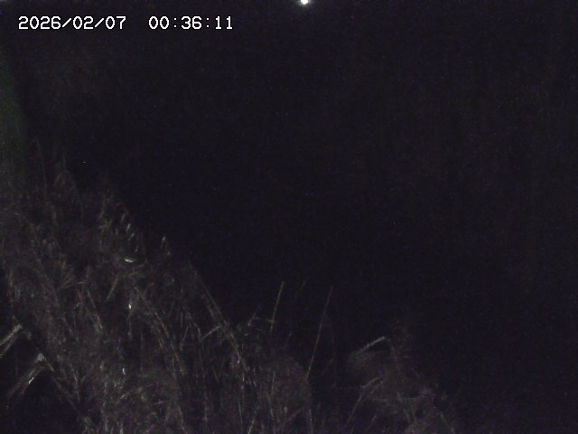 取得できませんでした