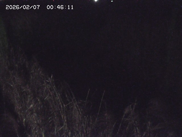 取得できませんでした