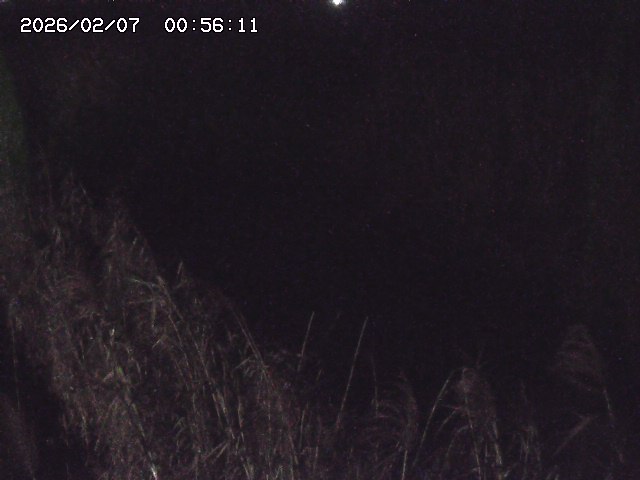 取得できませんでした