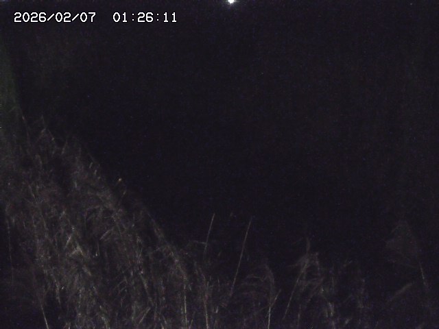 取得できませんでした