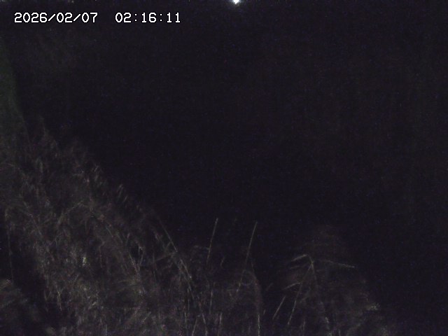 取得できませんでした