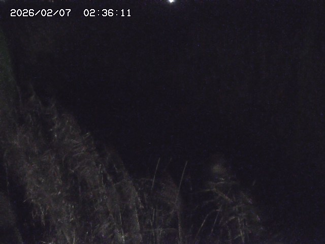 取得できませんでした