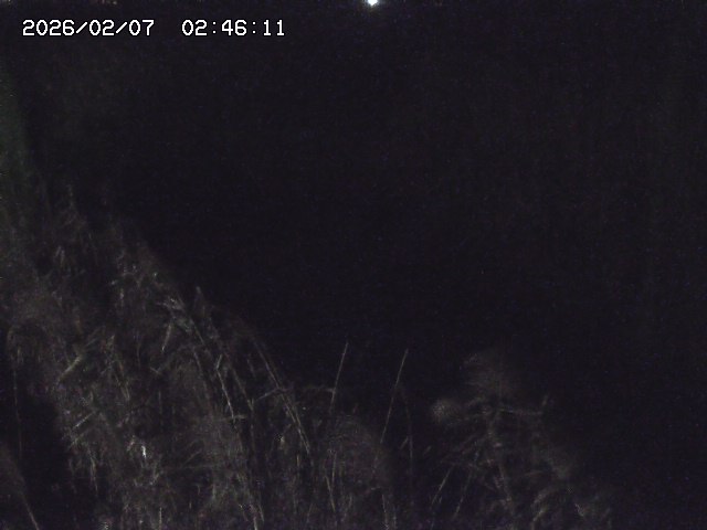 取得できませんでした