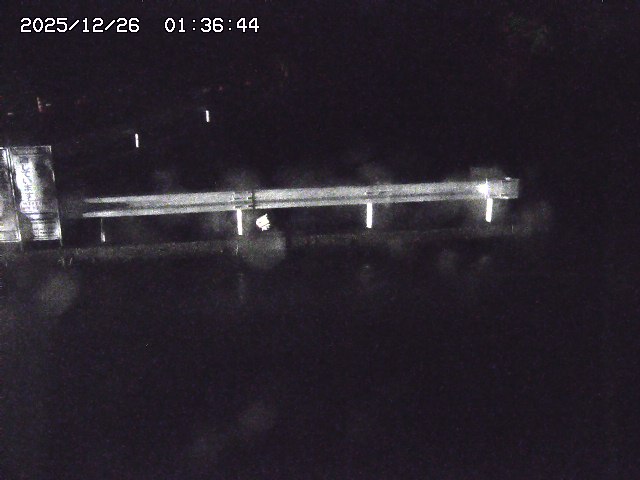 取得できませんでした