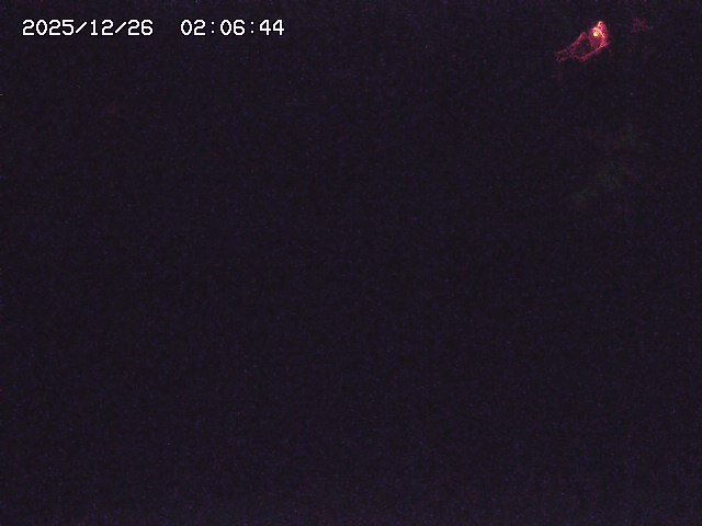 取得できませんでした