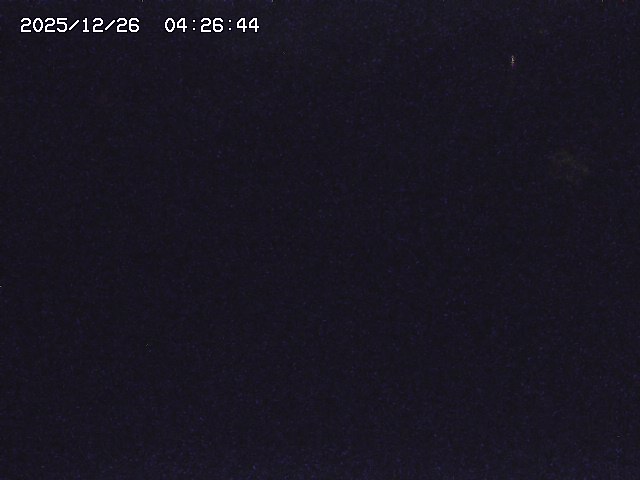 取得できませんでした