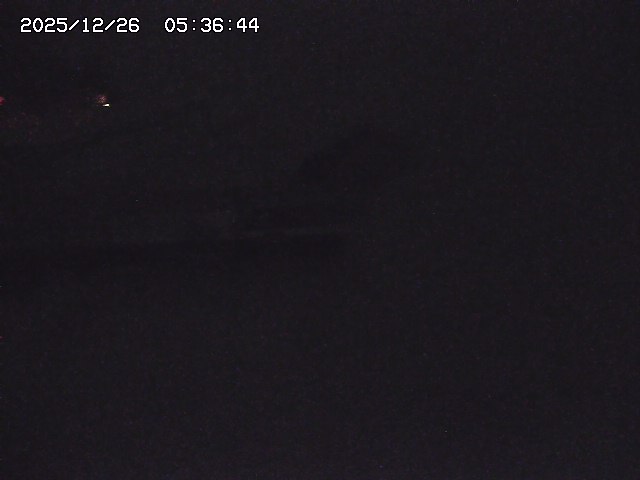 取得できませんでした