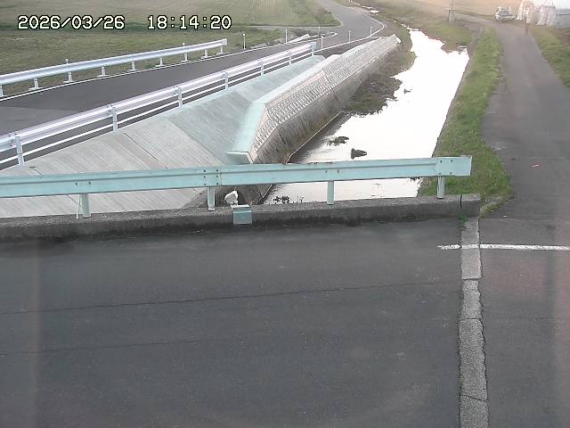 取得できませんでした