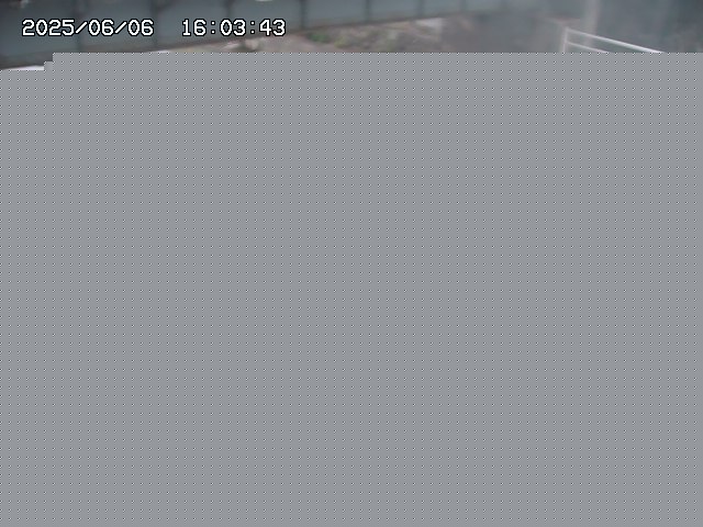 取得できませんでした