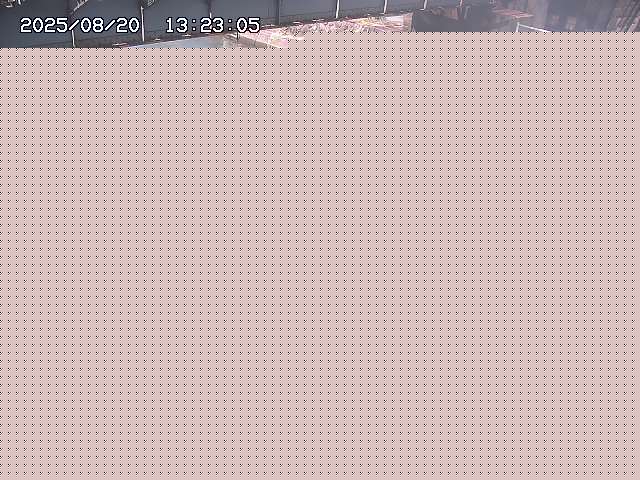 取得できませんでした