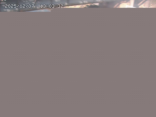 取得できませんでした