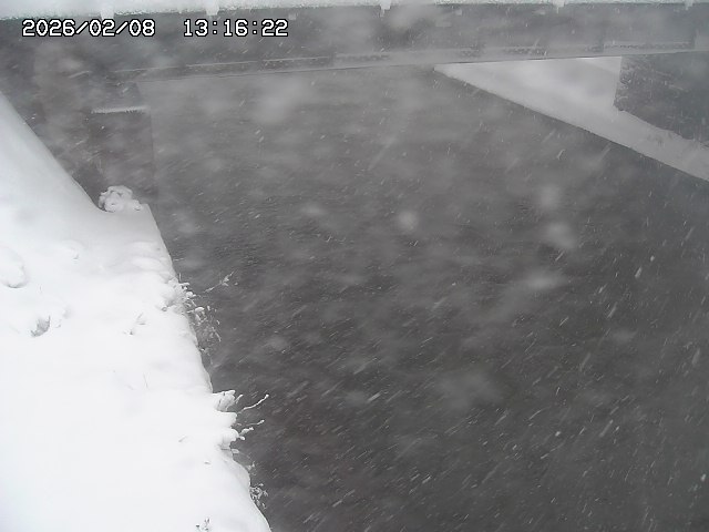 取得できませんでした