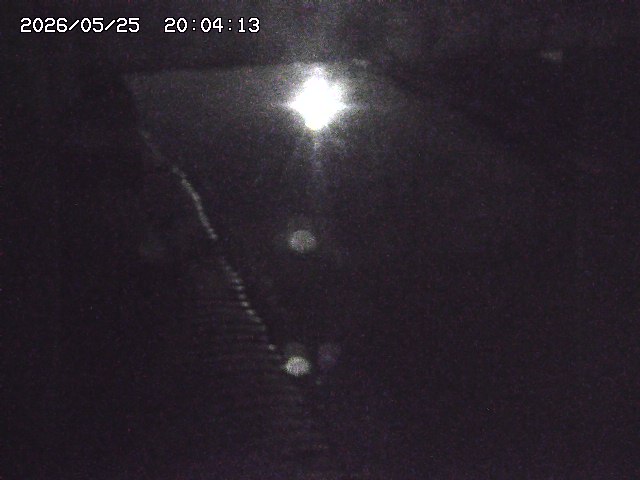 取得できませんでした