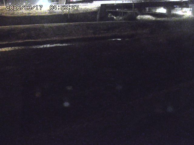 取得できませんでした