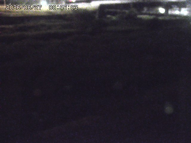 取得できませんでした