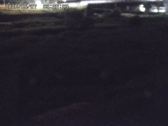 取得できませんでした