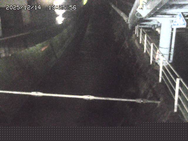 取得できませんでした