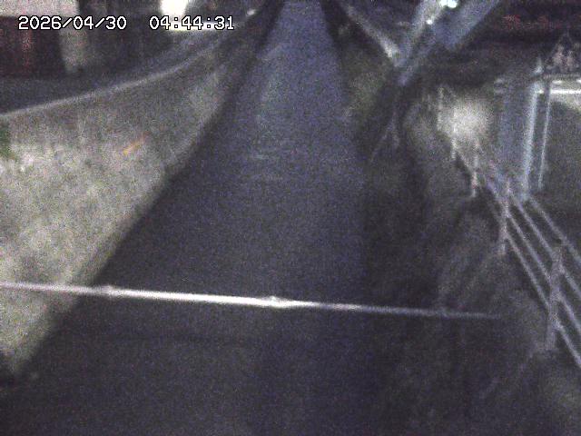 取得できませんでした